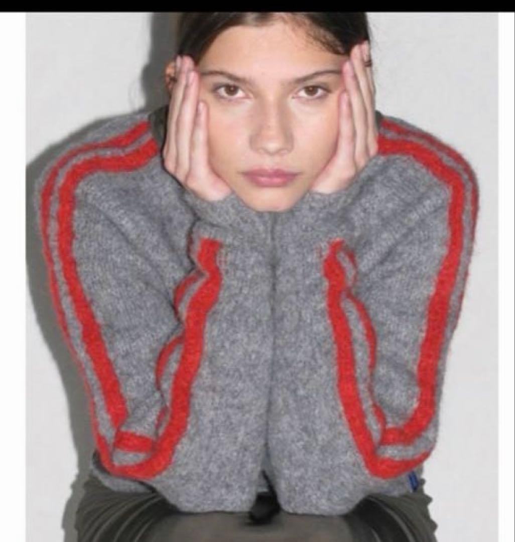 paloma—wool グレーウールセーター 赤ストライプ ラインニット 美品 6 (ROKU) - Paloma Wool GRAND SLAM line knit topの通販 by s shop